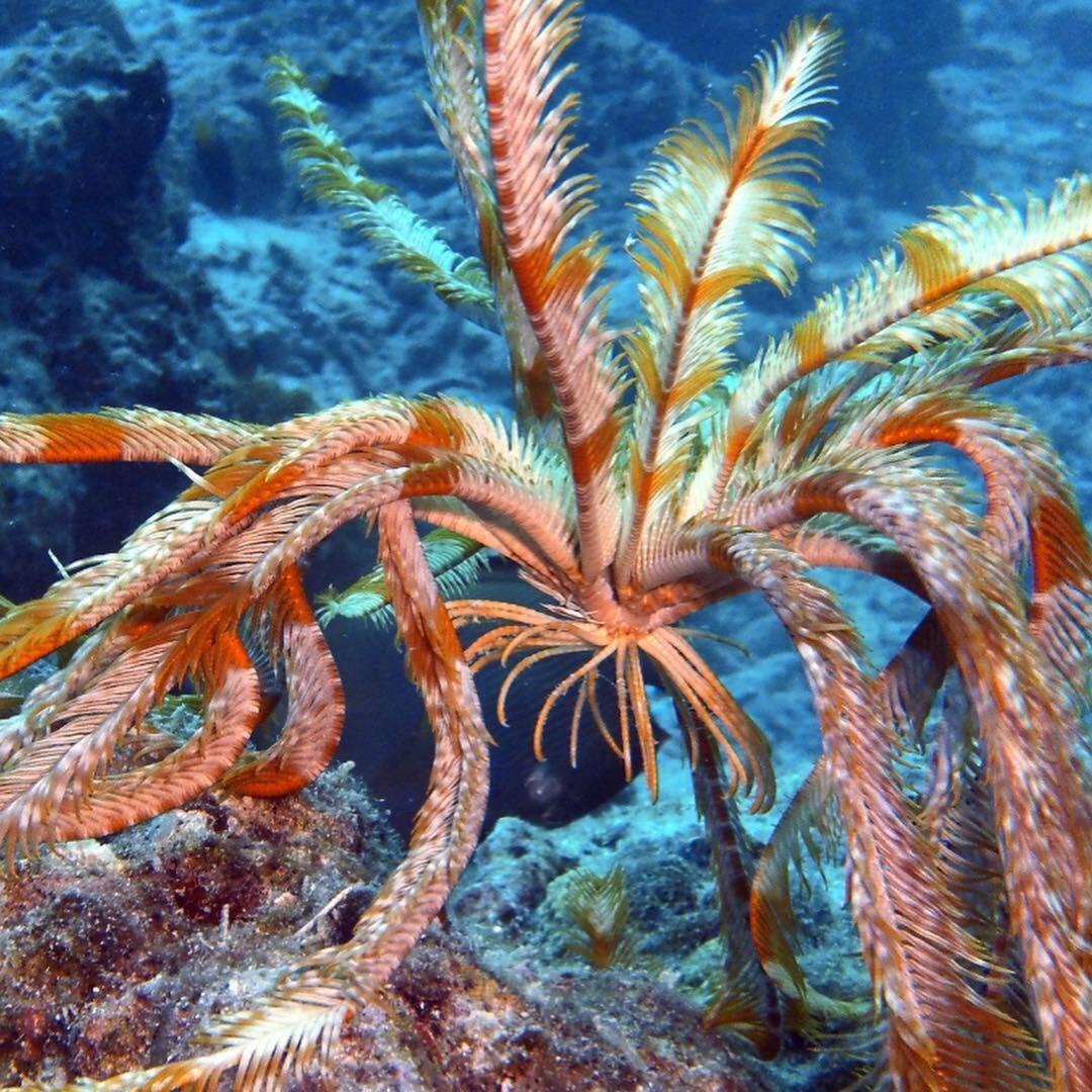 Sancia Lodge 弗里德胡 外观 照片